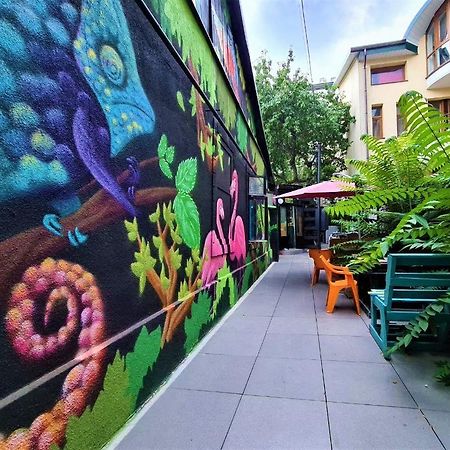 צ'יסינאו Tapok Hostel מראה חיצוני תמונה